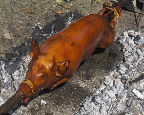 lechon
